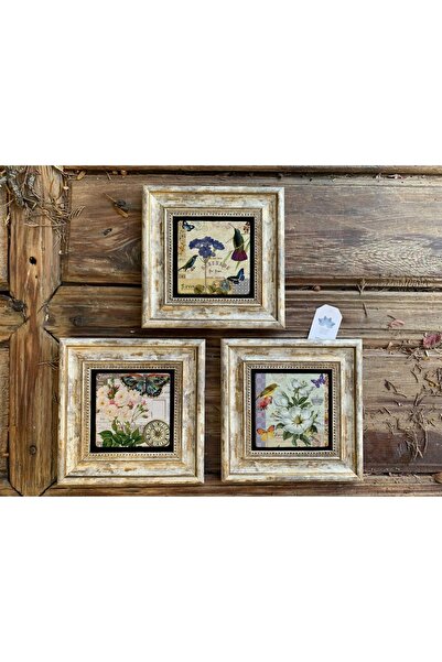 Oscar Stone Decor Çerçeveli Taş Tablo 20x20 cm 3 lü Set Çiçek Kuş Seti Bird F...