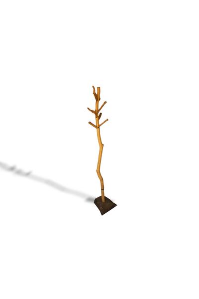 FABRUCTOR Dekoraitf Masif Ahşap Portmanto Askılık