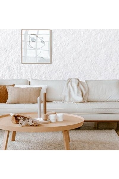 İZOJEL Organik Ipek Sıva  Izo-001-yr Beyaz - 2 Mt2 1/2 Boyut Dekoratif Ses Isı  Nem Yalıtım Sıvası