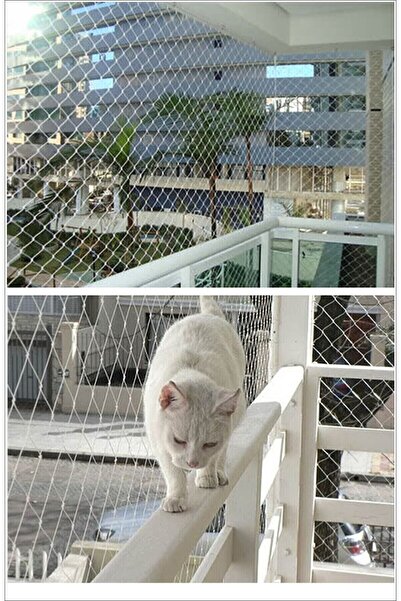 Asenya Kuş Filesi 2,5x3 Metre Balkon Filesi Kuş Önleme Ağı Kedi Filesi