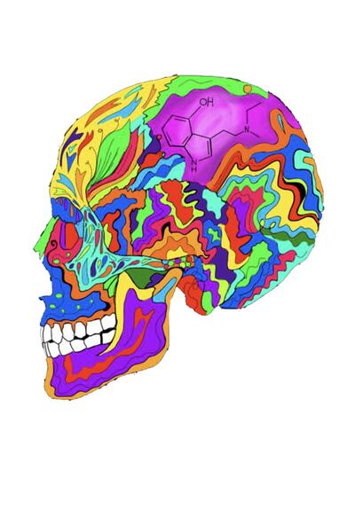 MegaSticker ملصق جمجمة ملونة للسيارات والدراجات النارية والخوذة والكمبيوتر ال...