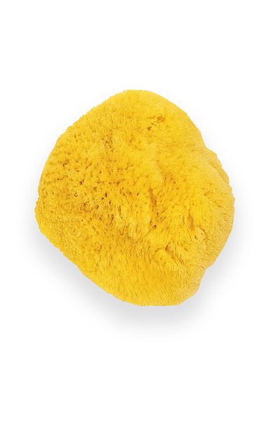 BAZAAR 4 Sea Sponge for Baby - Baby Size
