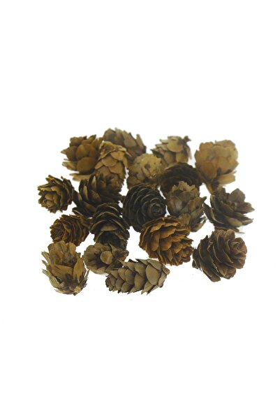 mutlu adım Φυσικός Κώνος 2-3εκ. 75γρ. (50-55 Τεμάχια)