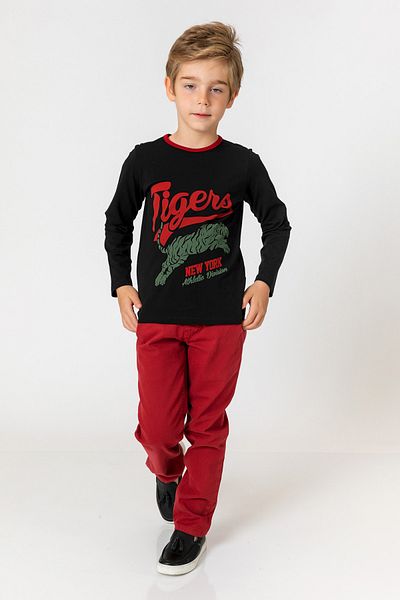 incity Boy's Burgundy Trousers