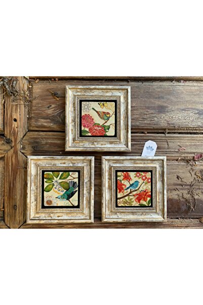 Oscar Stone Decor İthal Çerçeveli Taş Baskılı Duvar Tablosu Seti ( 20 X 20 cm) 3 Lü Set -