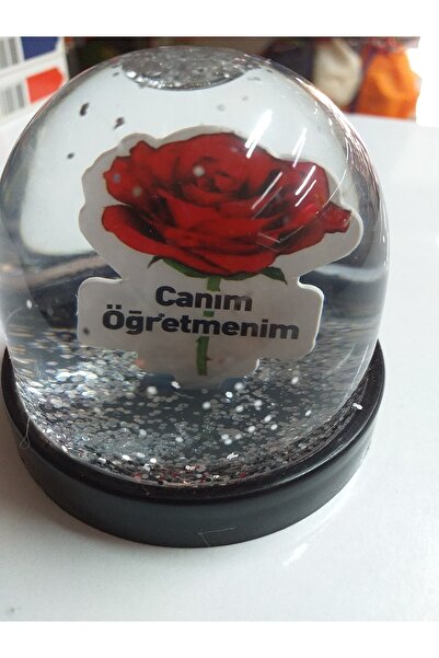 GÖNÜL 24 Kasım Öğretmenler Günü Kar Küresi