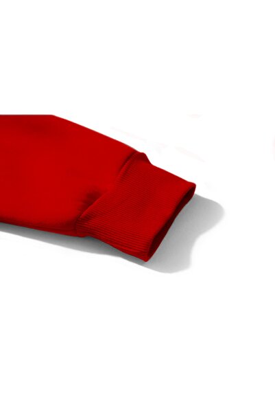 Z zepplin Chicago The Last Dance Red Raglan Sleeve Hooded Sweatshirt