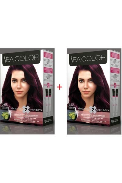 Sea Color 3.66 Patlıcan Moru Set Boya 2 Kutu (her Kutuda; 2 Tüp Boyası (2x50 ...