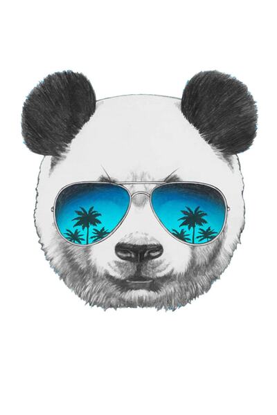 MegaSticker ملصق سيارة باندا رائع، دراجة نارية، خوذة، كمبيوتر محمول مقاس 14 ×...