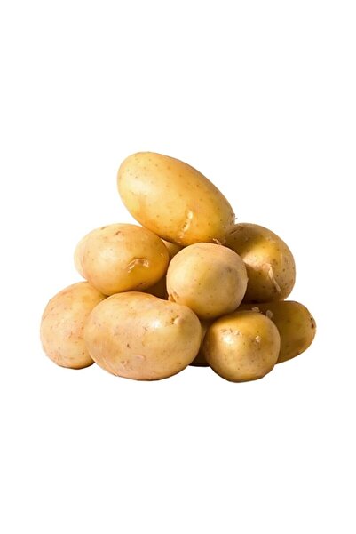 PatatesciZeki Patates Çıtır Kızartmalık 5 Kg