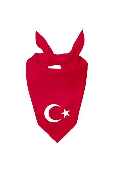 Tasarım Trend Eșarfă de culoare unică cu design Ayyıldiz