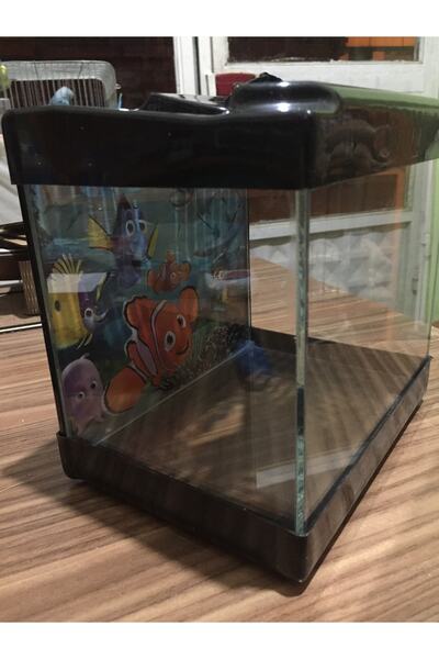 URAL Kare Mini Akvaryum Karışık Renklerde Gönderilmektedir.