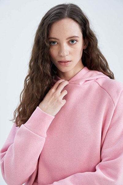 DeFacto Φούτερ με κουκούλα Basic Kangaroo Pocket