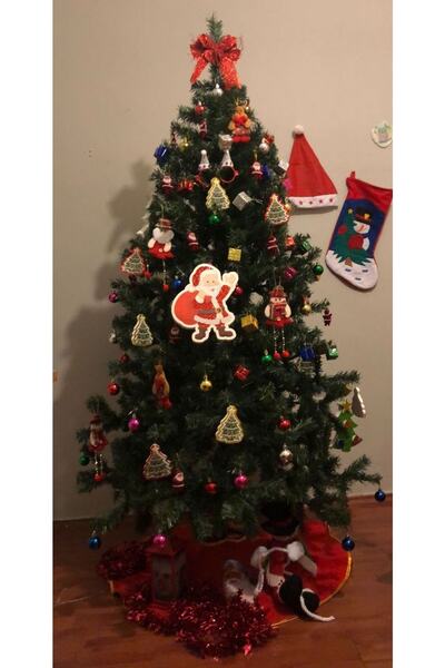 CAN 150 Cm Gür Dal Demir Ayaklı Çam Ağacı Yılbaşı Çam Ağacı