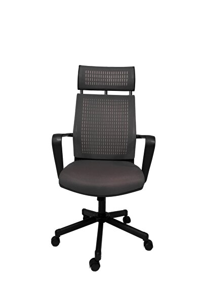 Gizmo Efor Fileli Şef Bilgisayar Ofis Çalışma Koltuğu Fk1401 Antrasit