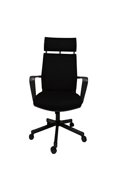 Gizmo Efor Fileli Şef Bilgisayar Ofis Çalışma Koltuğu Fk1401 Siyah