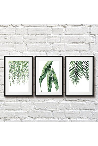 Genel Markalar (!!! SİYAH ÇERÇEVE GÖRÜNÜMLÜ !!!) Suluboya Yaprak Çizim Bitki Doğal Naturel 3'lü Ahşap Tablo Seti