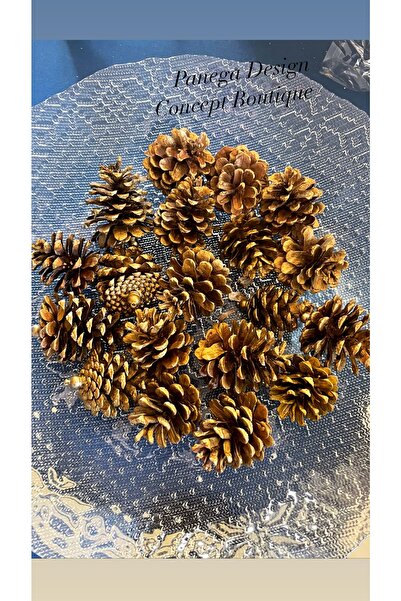 Panega Design مجموعة زينة شجرة عيد الميلاد المخروطية باللون الذهبي مكونة من 2...