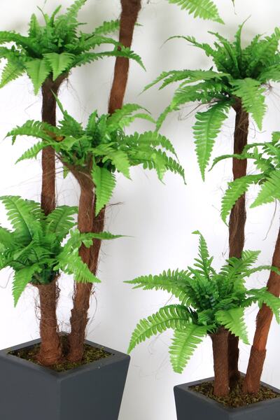 Yapay Çiçek Deposu Yapay Eko Fujer Ağacı 2li Set 130 Cm Ve 155 Cm