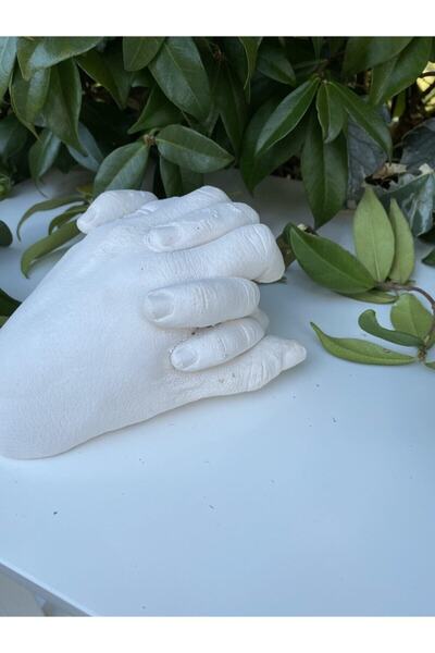 3D Art El Ele Heykel Kalıbı Elde Etme Malzemeleri- Aljinat 450 Gr Ve Hızlı Donan Alçı 1 Kg