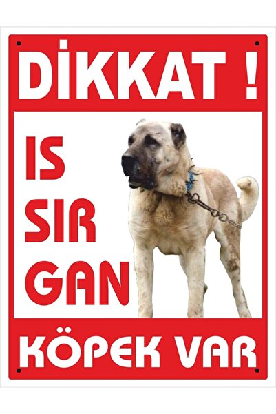Printhome Uyarı Ve Yönlendirme Levhaları " Dikkat Köpek Var" 25x35 Cm Metal