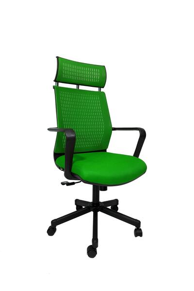 Gizmo Efor Fileli Şef Bilgisayar Ofis Çalışma Koltuğu Fk1401 Yeşil