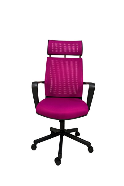 Gizmo Efor Fileli Şef Bilgisayar Ofis Çalışma Koltuğu Fk1401 Pembe