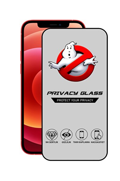 CaseArt Apple Iphone 12 Mini Tam Kaplayan Gizli Hayalet Temperli Ekran Koruyc...