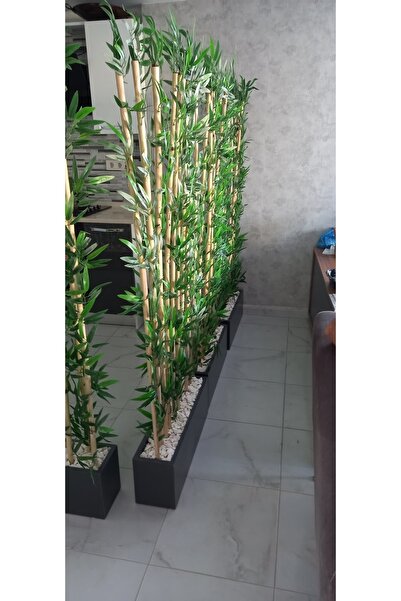 ERHAN FLOWERS 2 Adet 100 Cm Saksida 40 Adet 180 Cm Bambulu Speratör