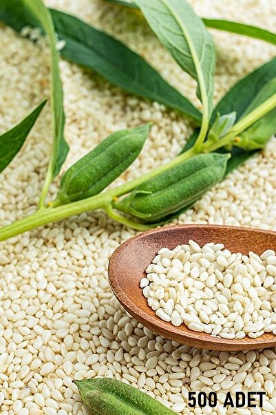 Genel Markalar Yetiştirmek Için Susam Tohumu 500 Adet Susam Tohumu