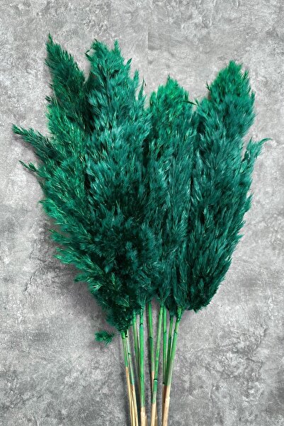 Ekinokshome Kuru Çiçek, Pampas, Doğal Çiçek Yeşil 15 Adet 120 Cm