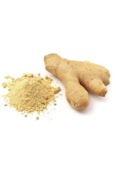 Abalı Toz Zencefil 100 gram