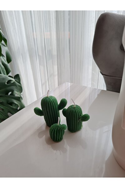 Verda Desing El Yapımı Dekoratif Tasarım Kaktüs Mum Takımı (3 LÜ)