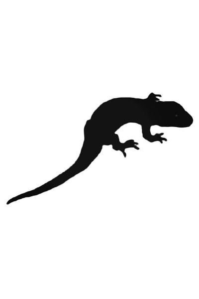 Universal Αυτοκόλλητο Lizard Lizard With Sharp Claws Αυτοκόλλητο Αυτοκόλλητο Τοίχου Αυτοκινήτου Αυτοκόλλητο Τοίχου Διακοσμητικό Αυτοκόλλητο Σπιτιού 20cm