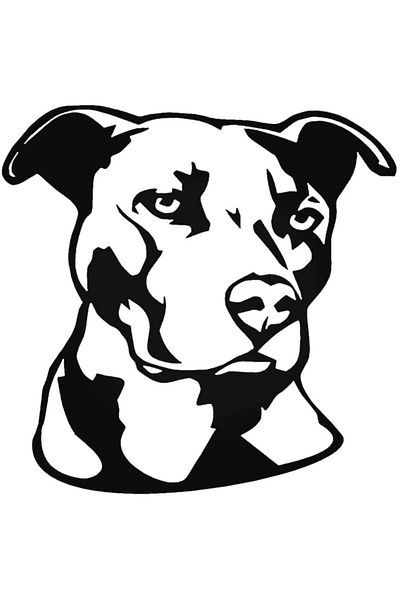 Universal Αυτοκόλλητο Pitbull 187 Αυτοκόλλητο Αυτοκόλλητο Τοίχου Αυτοκινήτου 20cm
