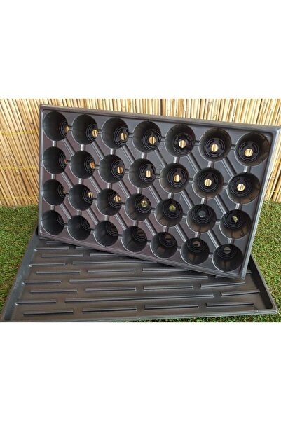 Doğalsan Tarım 9 Adet 28 Göz Fide Viyolü + 9 Adet Fide Viyolü Tepsisi Fide Vi...