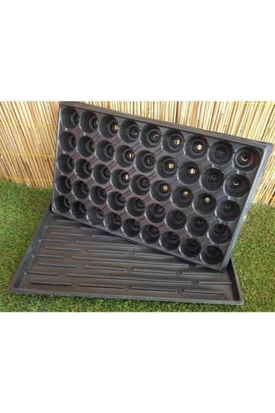 Doğalsan Tarım 2 Adet 45 Göz Fide Viyolü + 2 Adet Fide Viyolü Tepsisi Fide Vi...