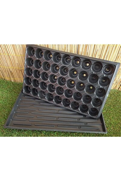 Doğalsan Tarım 5 Adet 45 Göz Fide Viyolü + 5 Adet Fide Viyolü Tepsisi Fide Vi...