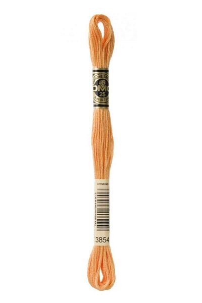 Dmc Muline Embroidery Thread - 3854