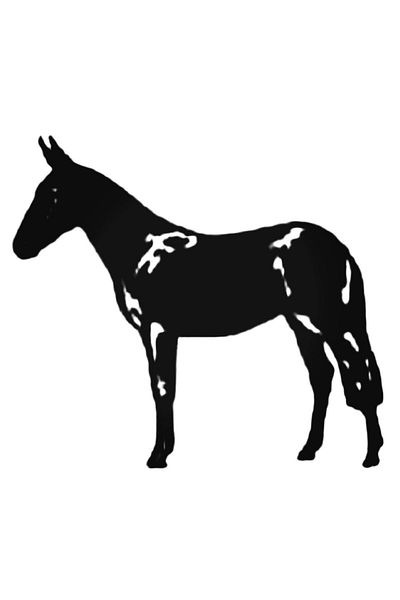 Universal Αυτοκόλλητο Mule Donkey Car Auto Arma Αυτοκόλλητο τοίχου Διακοσμητικό Αυτοκόλλητο Σπιτιού 20 εκ.
