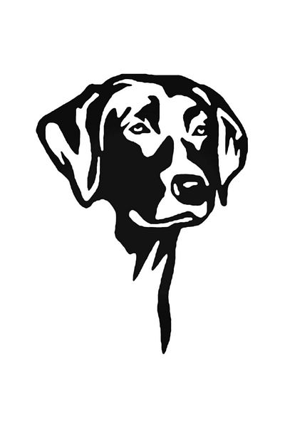Universal Αυτοκόλλητο Labrador Retriever Αυτοκόλλητο Αυτοκόλλητο Τοίχου Αυτοκινήτου 20 εκ