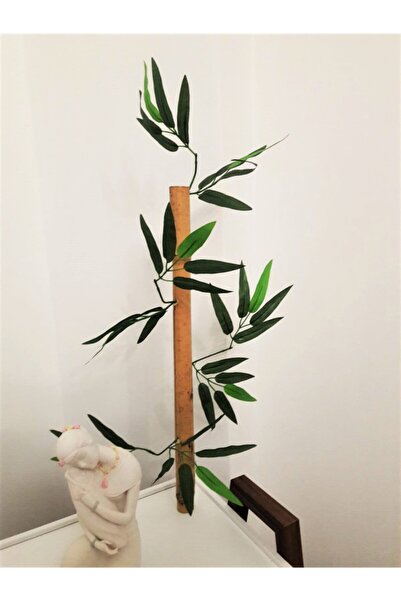 YEŞİLADA 12 Adet 50 Cm Boyunda Bambu Ağaç Çubukları 1 Düzine Orjinal Bamboo Ç...