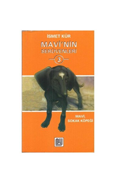 Bu Yayınevi Mavi'nin Serüvenleri 3 - Ismet Kür