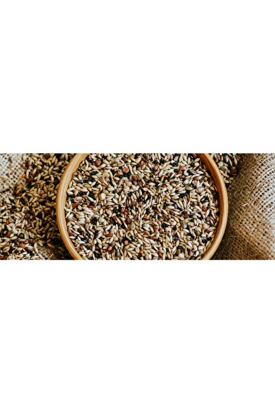 İKSİR PROF Doğa Kuşu (saka,florya,finch) Yemi 1 Kg
