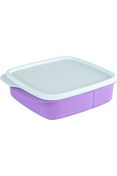 Tupperware Compartmented Nutrition Purple