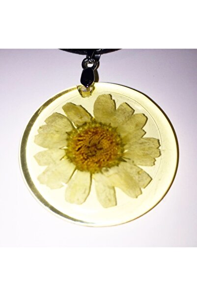 Kurutulmuş Papatlayı Kolye 25 Cm
