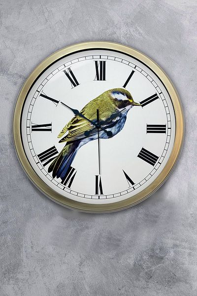 Kasva Concept Gift 40 cm Antique Metal Bird Wall Clock