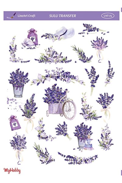 Genel Markalar Sulu Transfer Lnt74 25x35cm