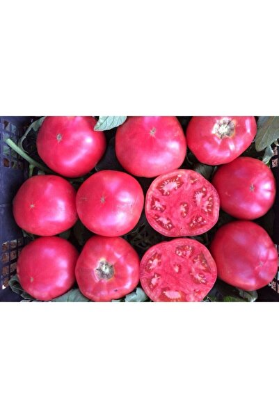 Köy Tohumları 100 Adet Tohum Nadir Iri Pembe Bulgar Köy Domatesi Tohumu Hobi ...