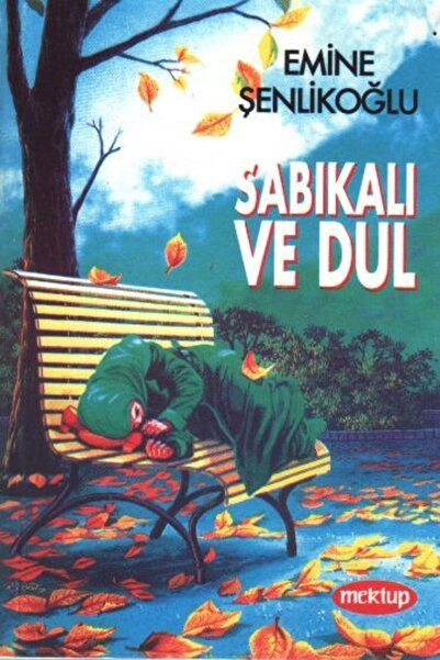 Mektup Yayınları Sabıkalı Ve Dul